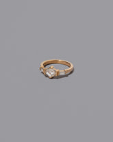 View from the side of the Interdependence Ring on light color background.