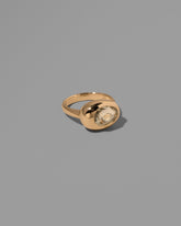 View from the side of the past version of the Sapphire Grand Align Ring on light color background.