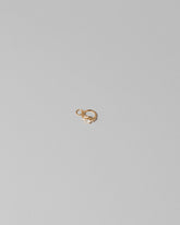 Luna Ring Charm on light color background.