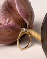 Styled image featuring the Diamond Calatrava Ring.
