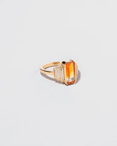 The Blind Leading The Blind Ring on light color background.