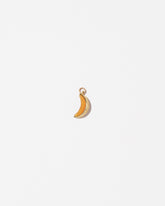 Sliced Fruit Charm - Melon on light color background.