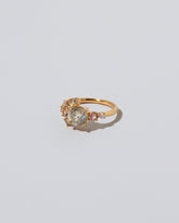 Vega Ring - Champagne Diamond on light colored background.