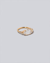 Tend Rings on light color background.