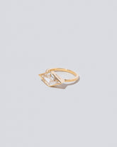 View from the side of the Fairmont Ring on light color background.