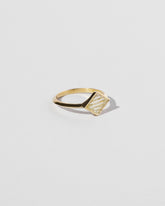 View from the side of the Aidos Ring on light color background.