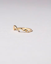 Squiggle Band - Bezel on light color background.