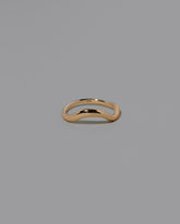 Gold Precise Band on light color background.