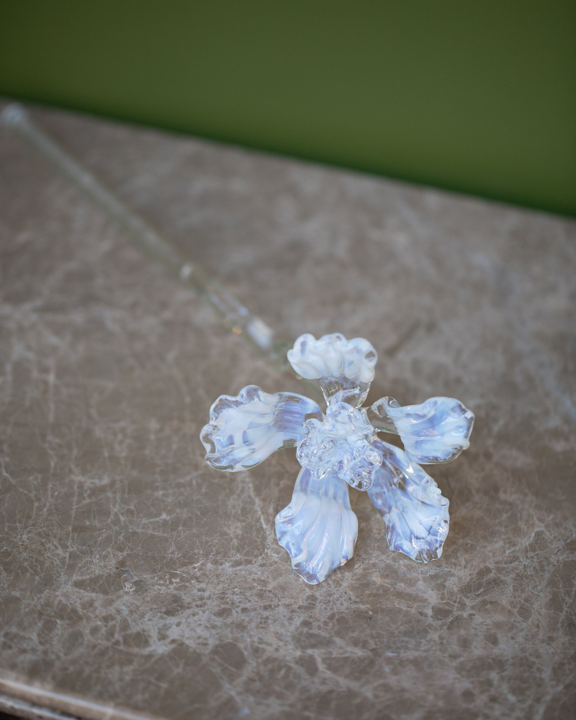 Alex Rosenbaum Ghost Glass Flower on green background.