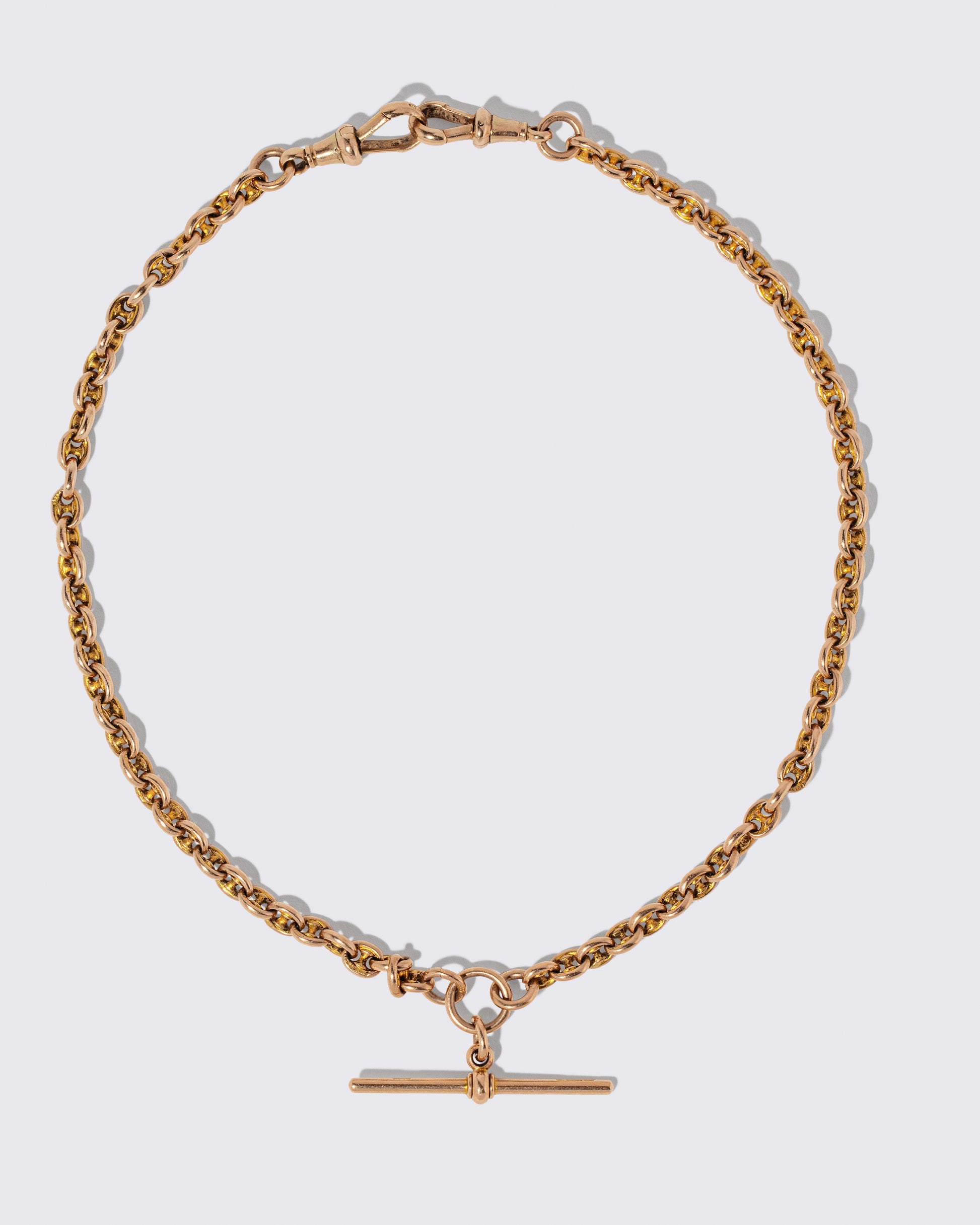 Vintage Albert Watch Chain on light color background.
