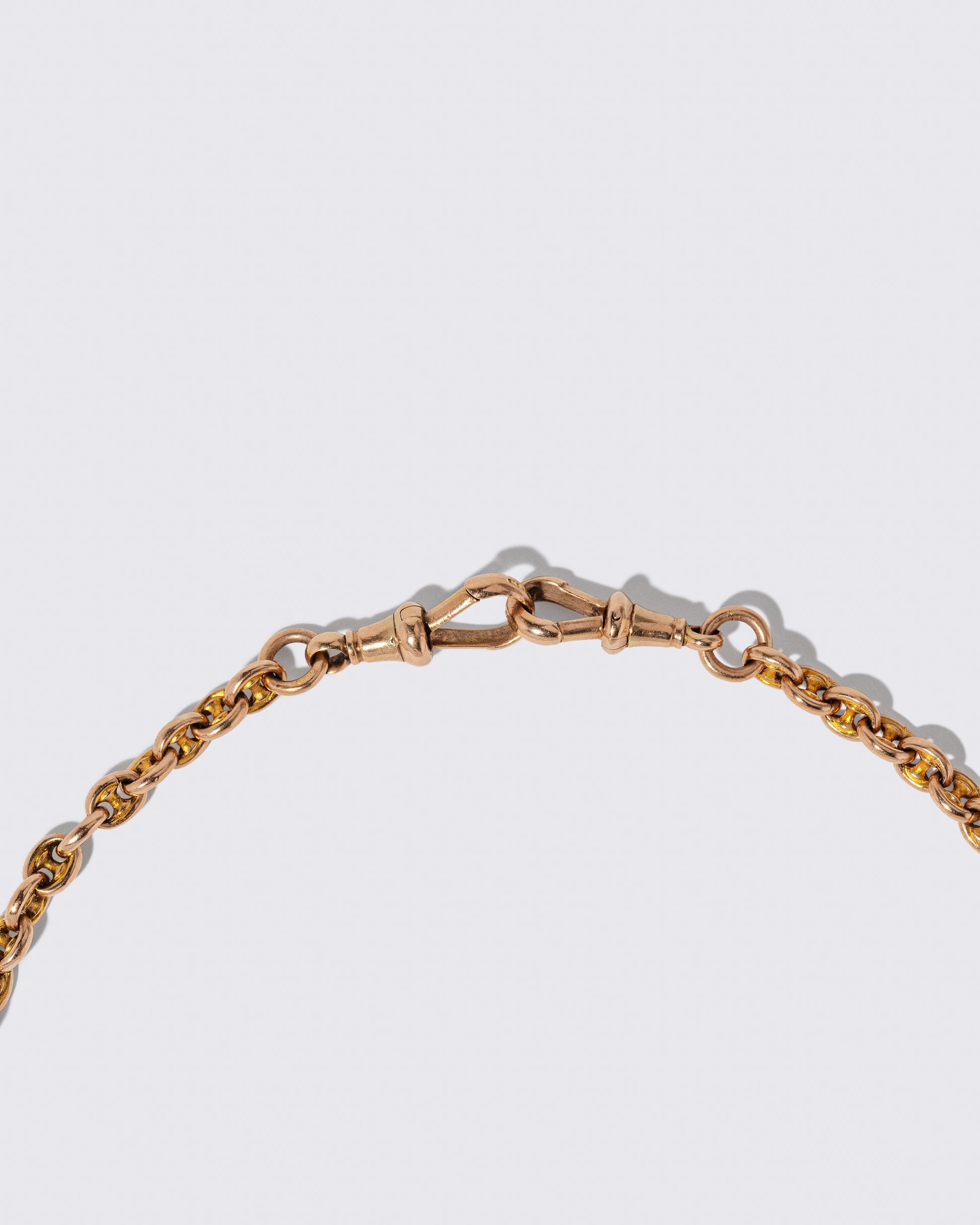 Closeup details of the Vintage Albert Watch Chain on light color background.