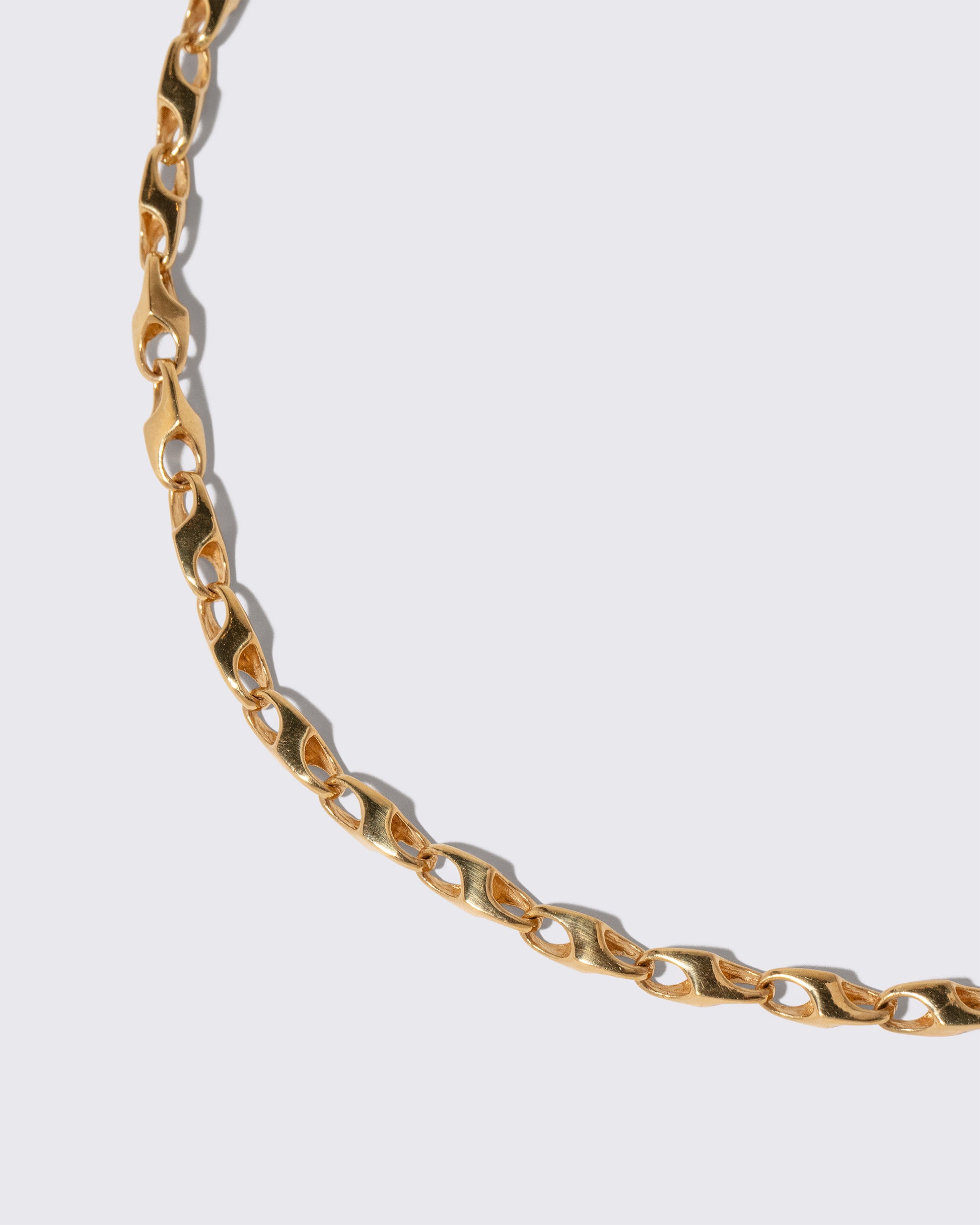 Closeup details of the Vintage Chain Necklace with Oval Hinge Clasp on light color background.