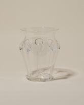 Bollenglass Design Clear Drip Vase on light color background.