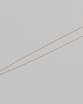 Closeup details of the Collection Chain on light color background.