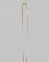 Closeup details of the Collection Chain on light color background.