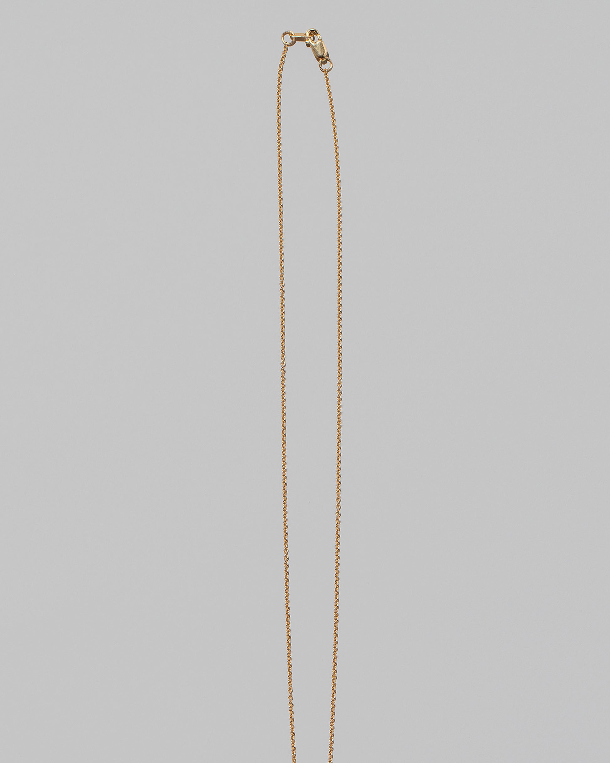 Closeup details of the Collection Chain on light color background.