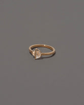 View from the side of the Compatibility Ring on grey color background.