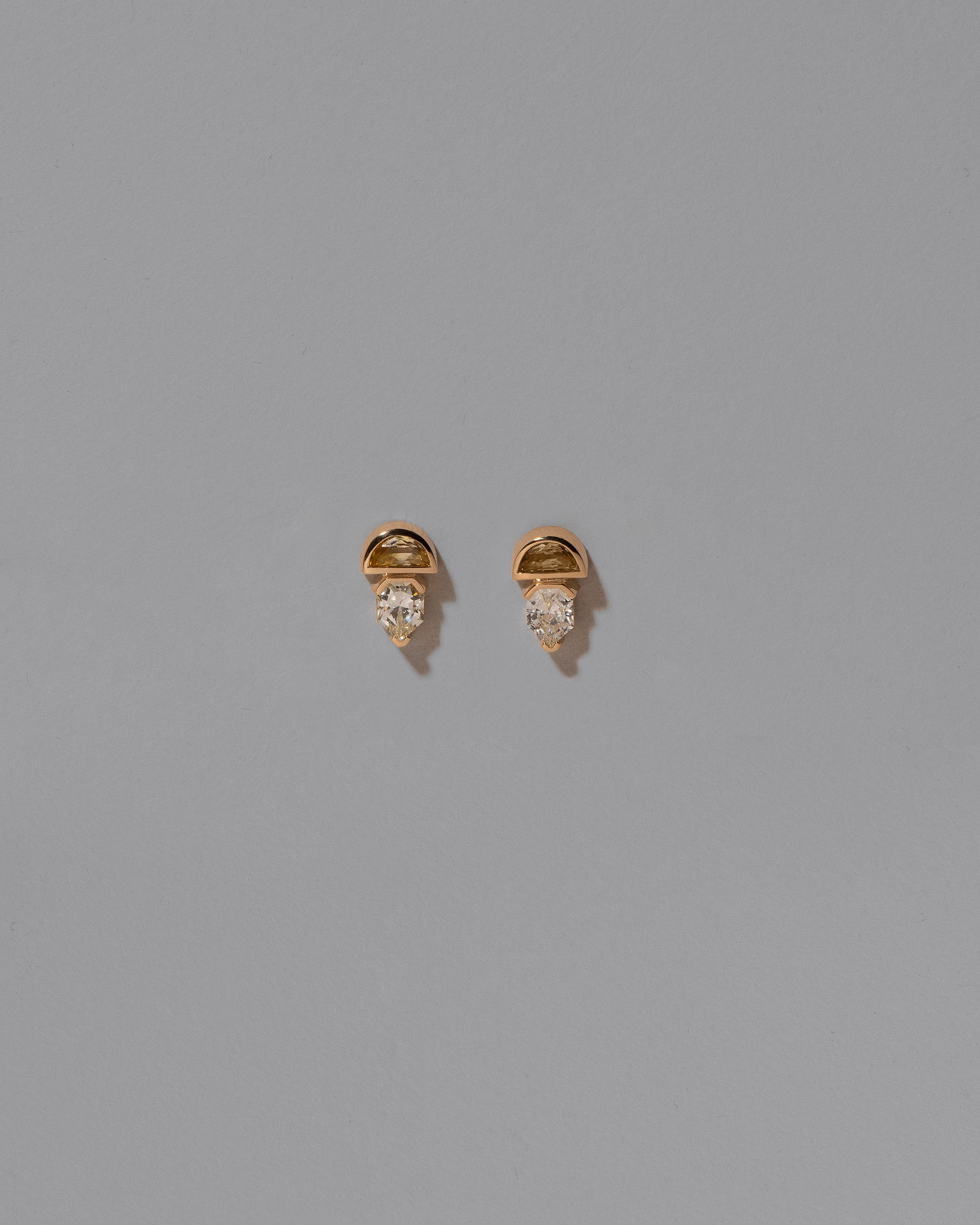 Delphinus Earrings on light color background.
