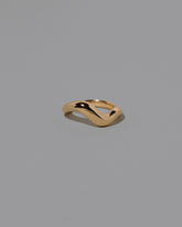 Gold Unbroken Band on light color background.