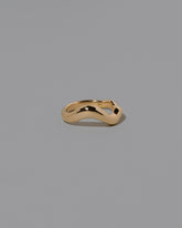 Gold Wide Planate Band on light color background.