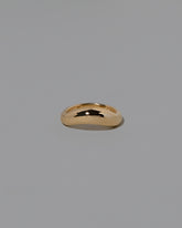 Gold Level Band on light color background.