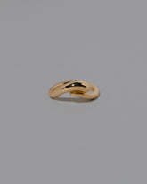 Gold Align Band on light color background.