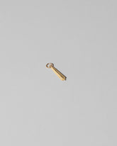 Joint Charm on light color background.