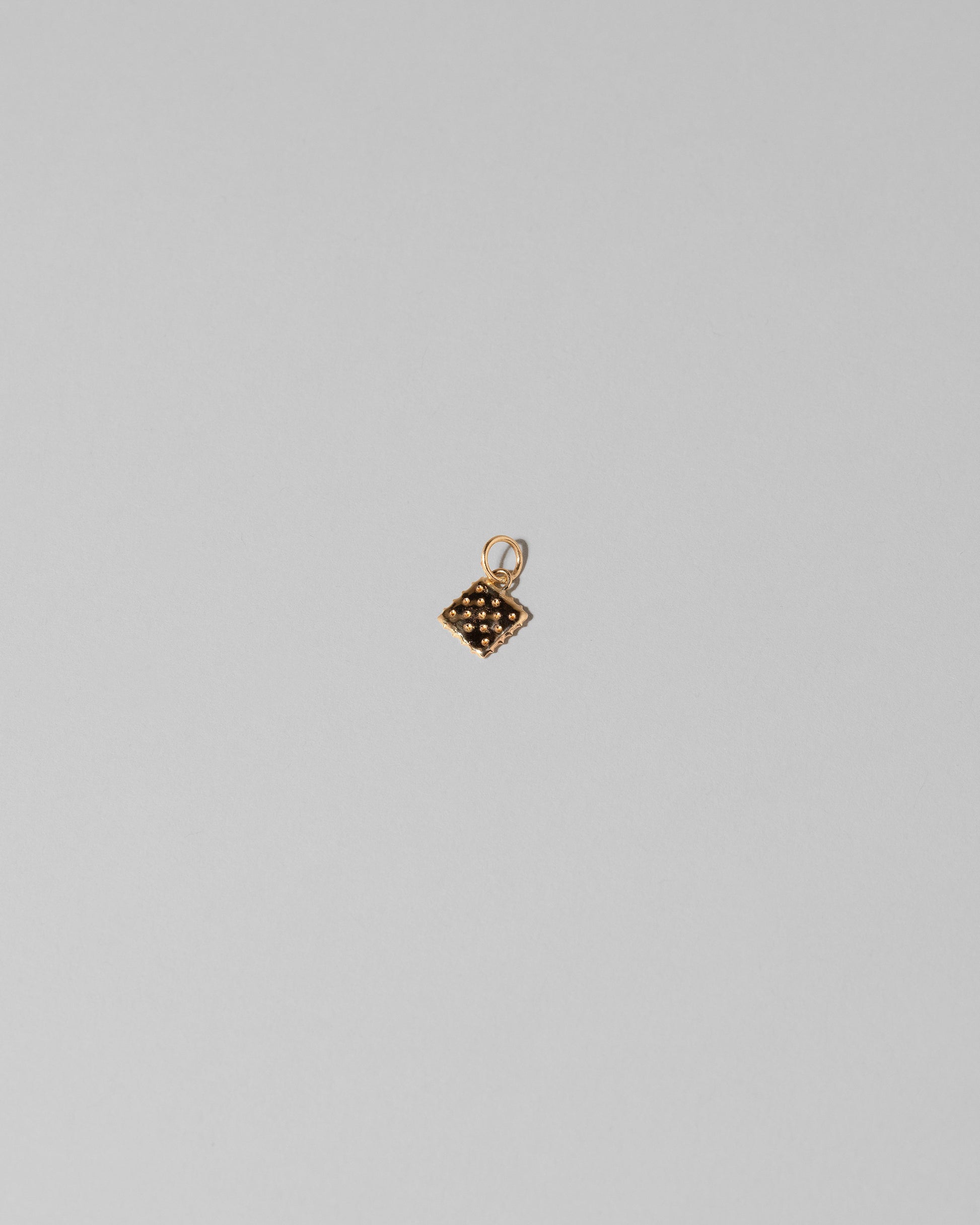 Saltine Cracker Charm on light color background.