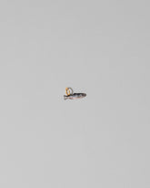 Sardine Charm on light color background.