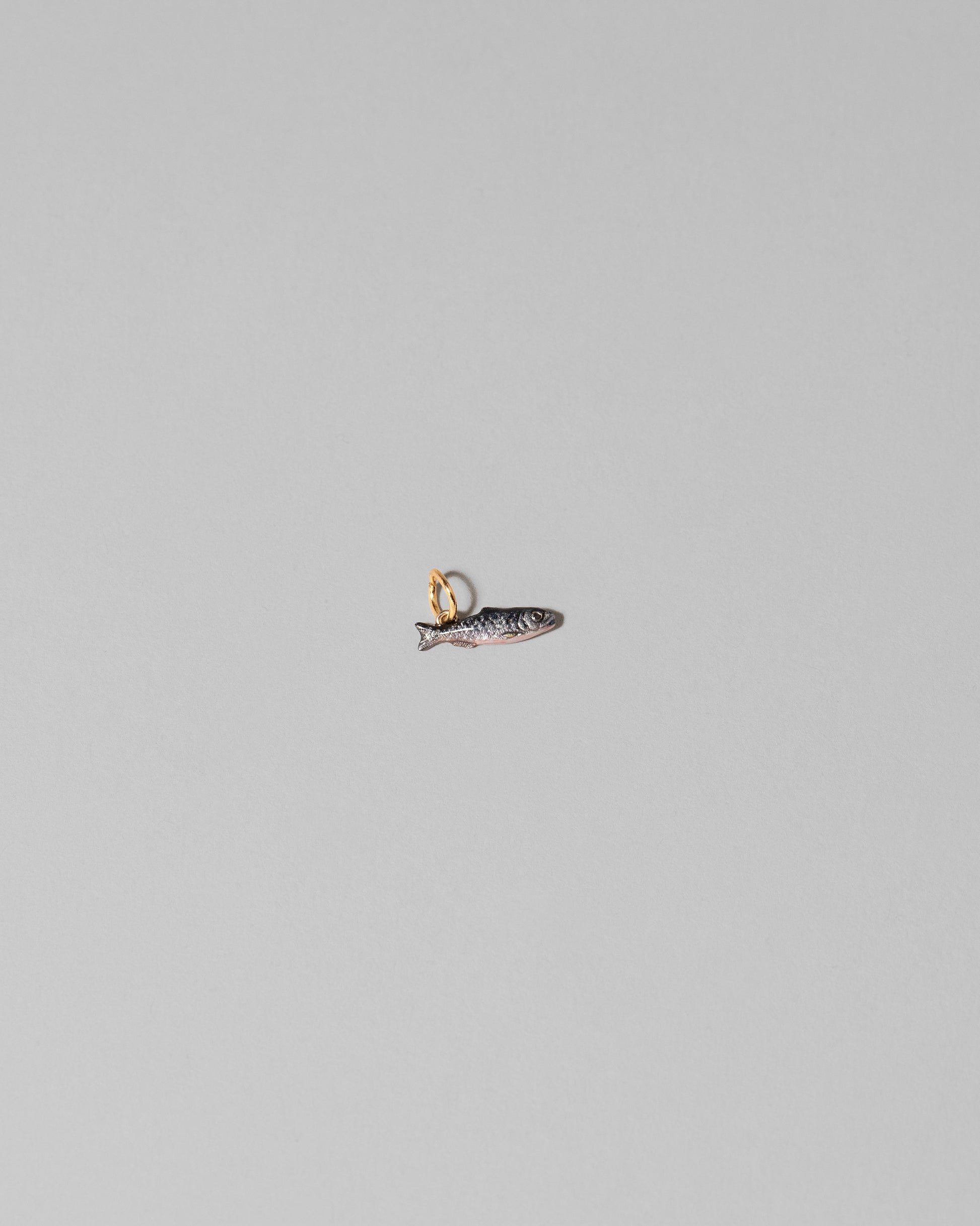 Sardine Charm on light color background.