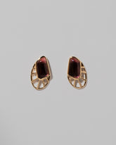 Lycaste Earrings on light color background