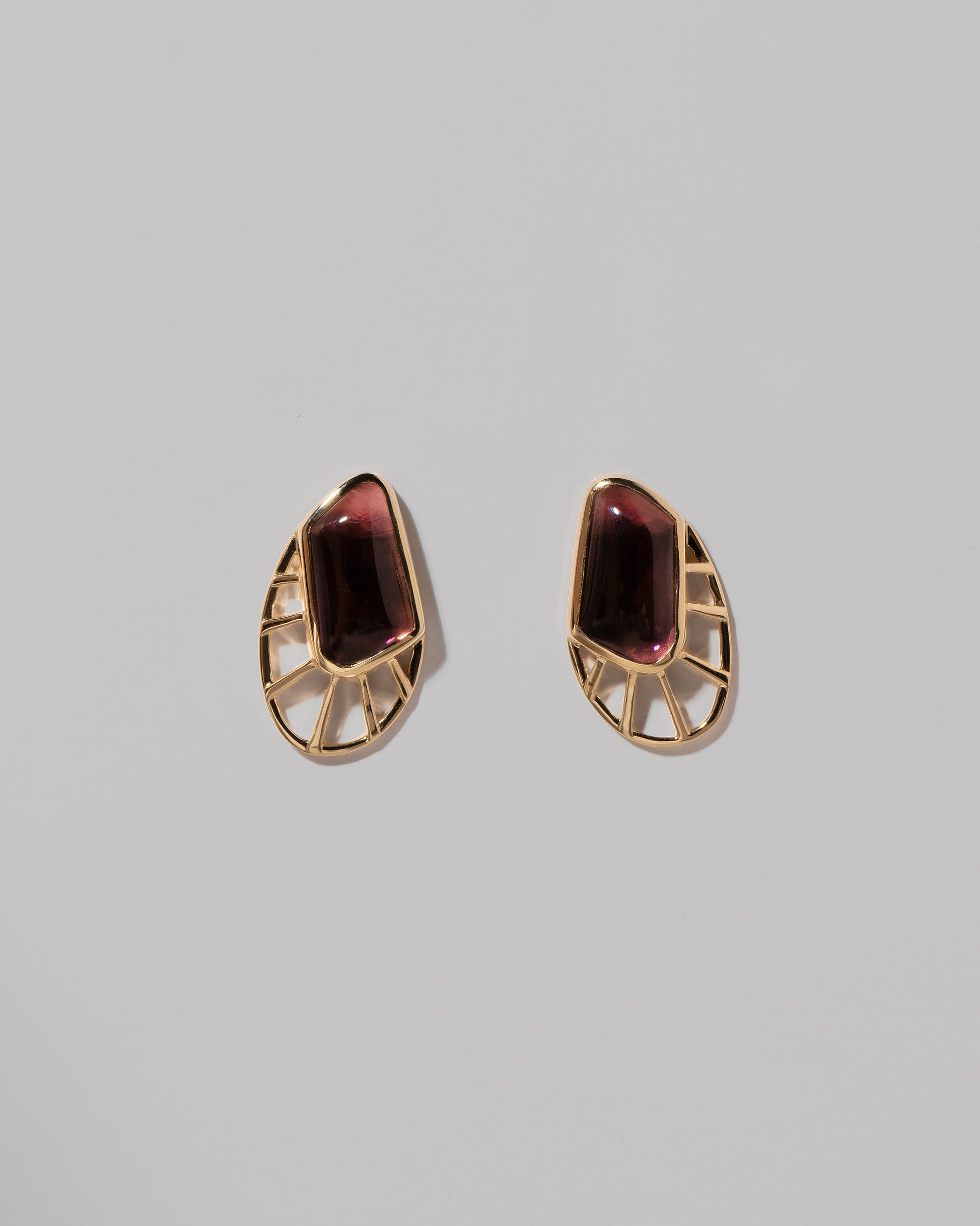 Lycaste Earrings on light color background