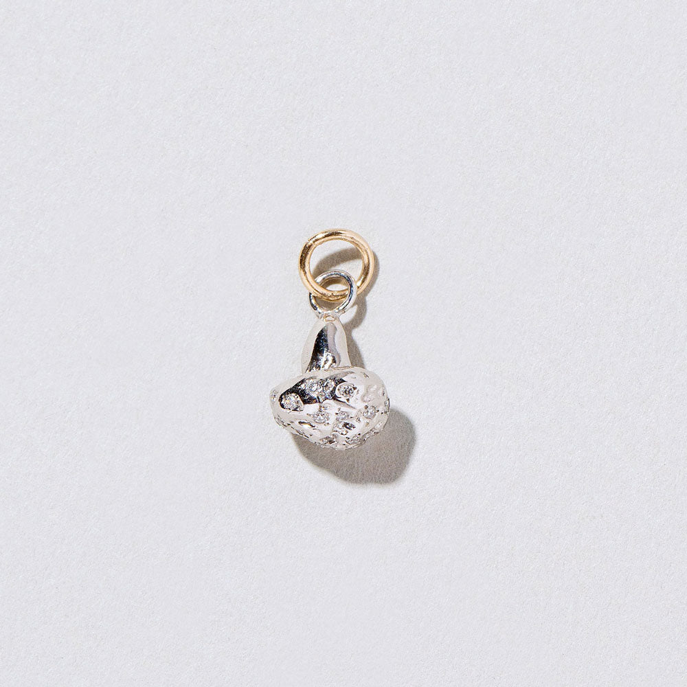 product_details::Closeup details of the Cauliflower Charm on light color background.