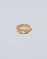 Positivism Ring on light color background.