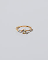 Compass Rose Ring on light color background.