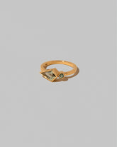 View from the side of the Catasetum Ring on light color background.