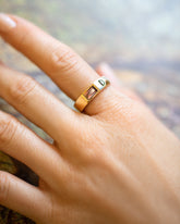 Entity Ring on model.