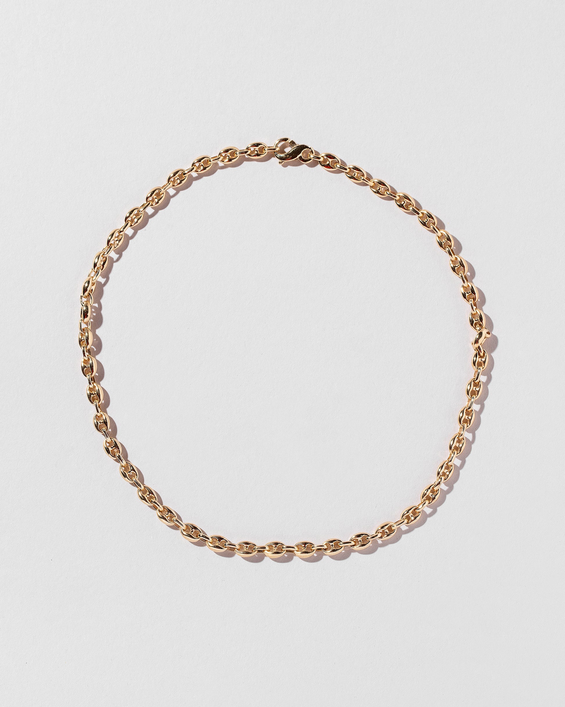 Segmented Chain Necklace on light color background.