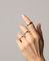 2.5mm, 4.5mm and 5.5mm Gold Venus Bands on model.