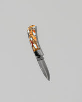 Santa Fe Stoneworks Spiney Oyster Small Lockback Knife on light color background.