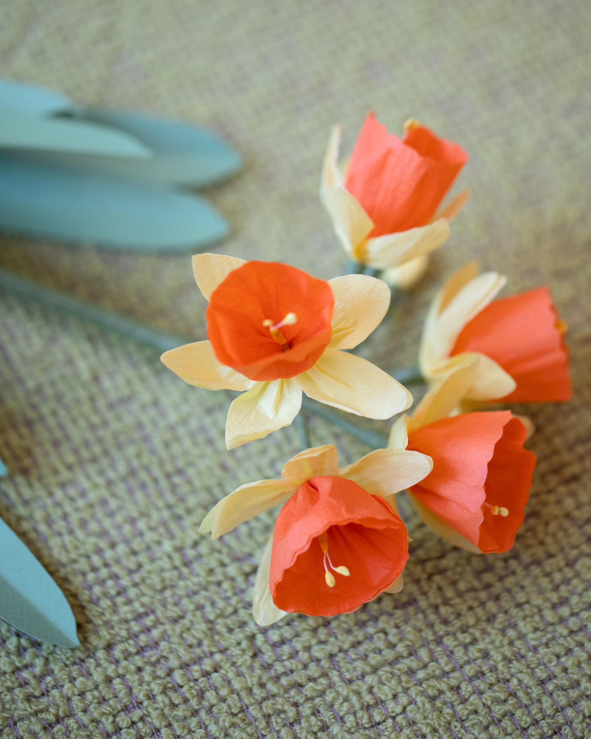 Closeup details of the The Green Vase Paper Daffodil Stem on light color background.