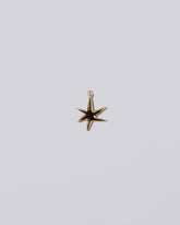 Verve Six Point Star Charm on light color background.