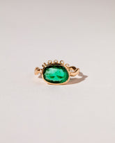  Renewal Ring on light color background.