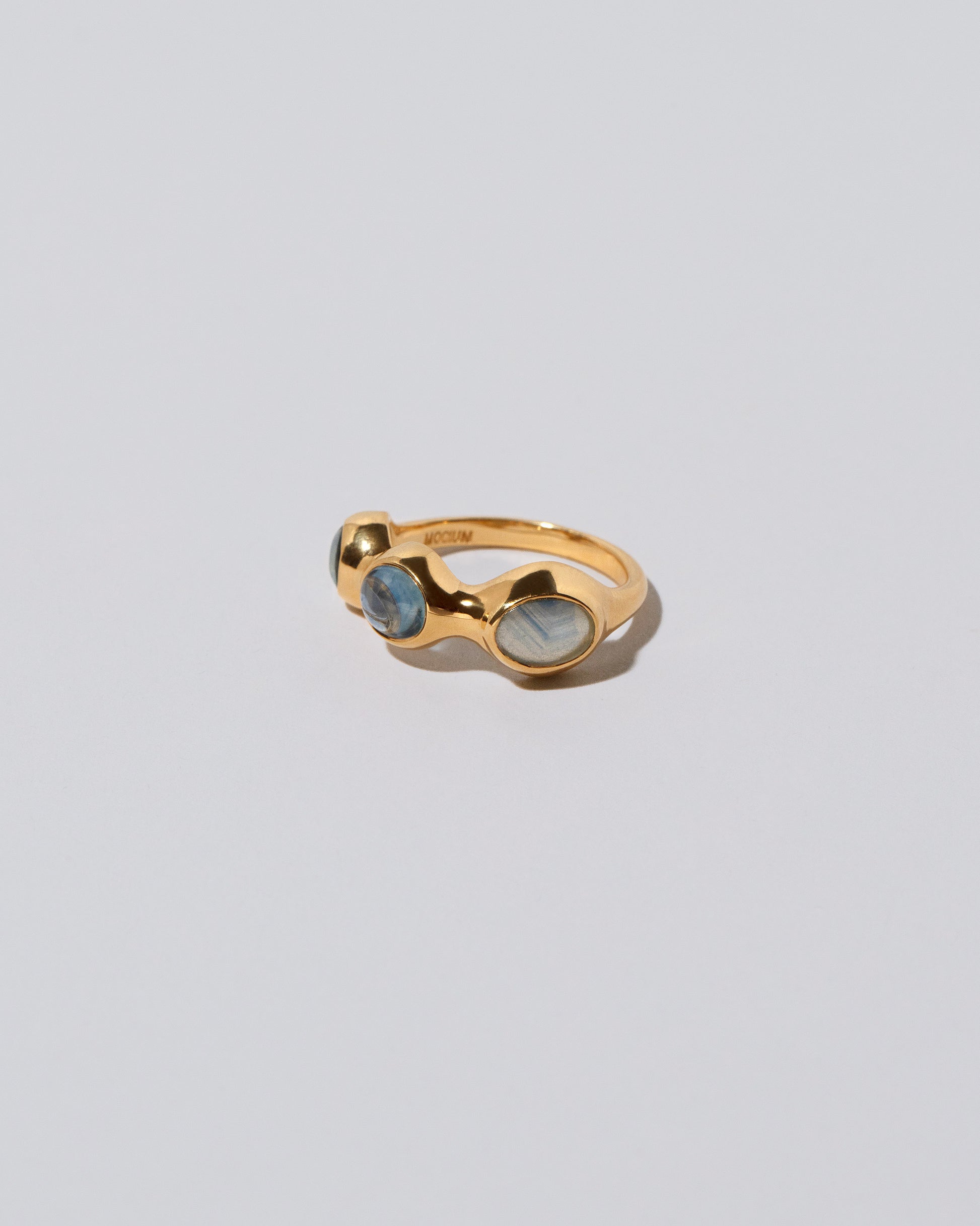 Sword Swallower Band on light color background.