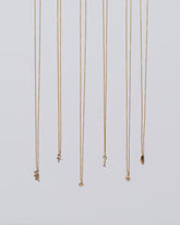 Group of Ankh, Star, Twist, Tear, Hand and Snake Talisman Pendant Necklaces on light color background.