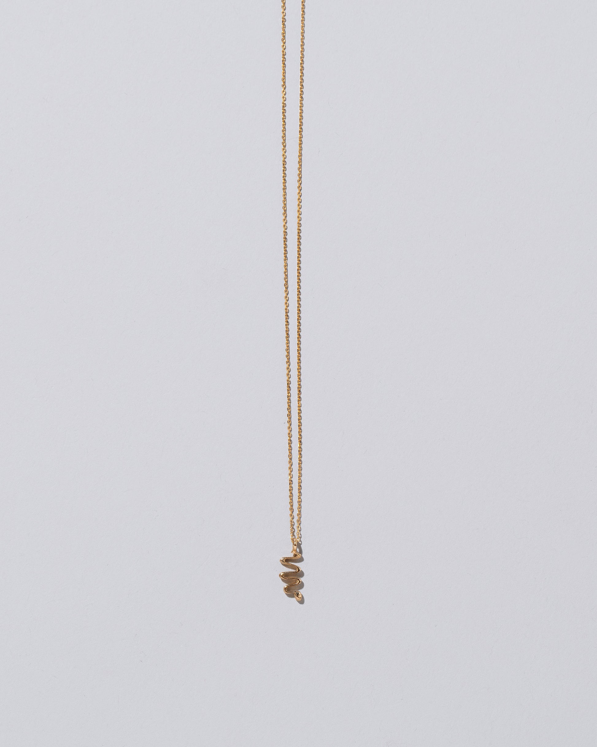 Snake Talisman Pendant Necklace on light color background.