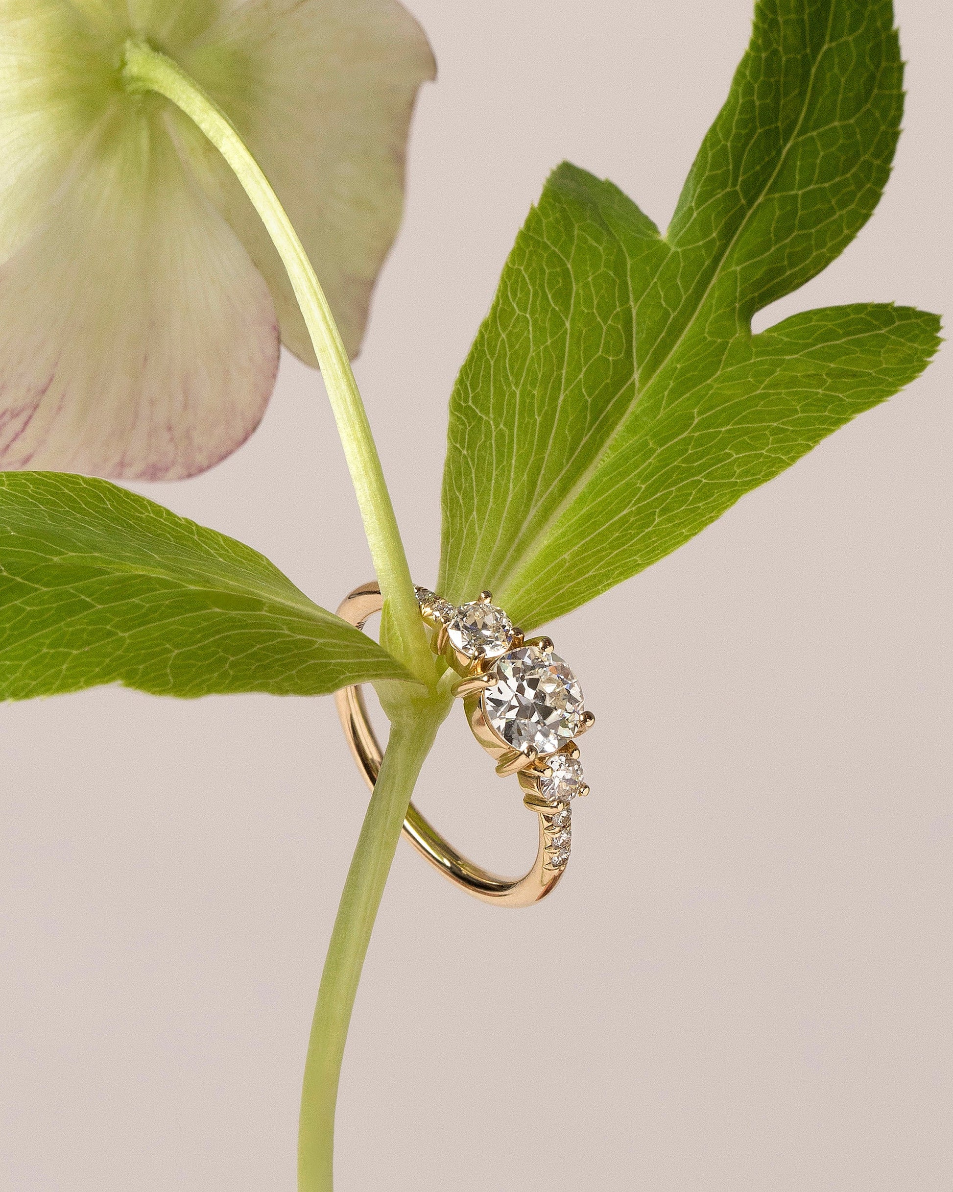  Orion Ring - White Diamond on light color background.