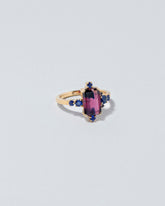 Pinnacles Ring on light colored background.