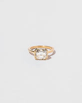 Future Past Ring on light color background.