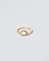 Sea Ring on light color background.